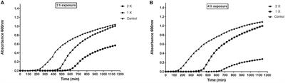 Deciphering the Antibacterial Role of Peptide From Bacillus subtilis subsp. spizizenii Ba49 Against Staphylococcus aureus